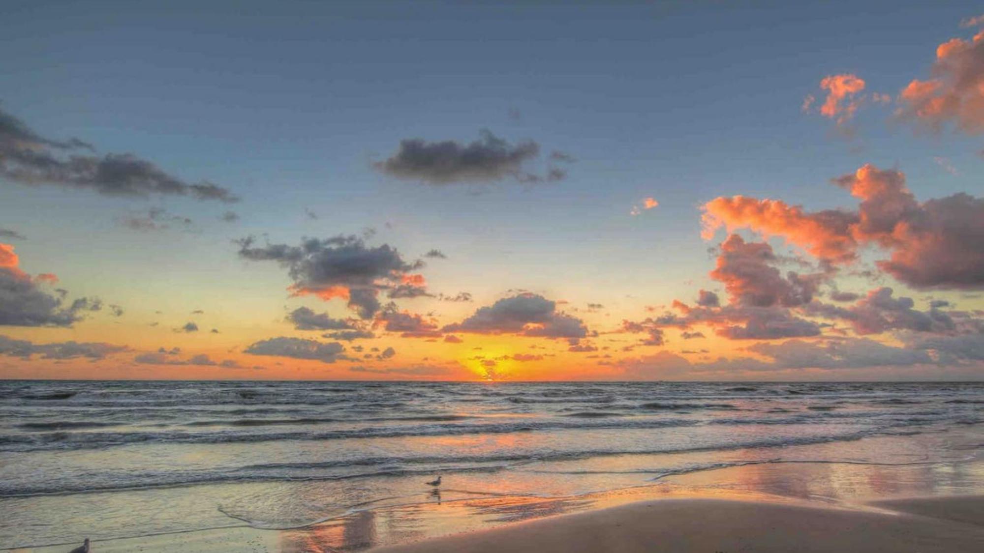 Sleeps 4, Value Retreat - Free Garage Pet Friendly Appartement Corpus Christi Buitenkant foto